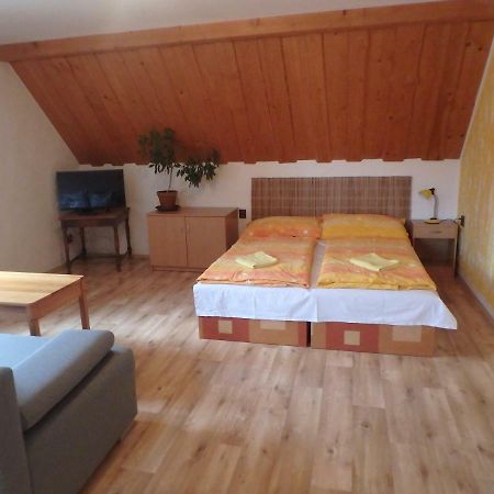Apartments Vecernik Rokytnice Рокитніце-над-Їзероу Екстер'єр фото