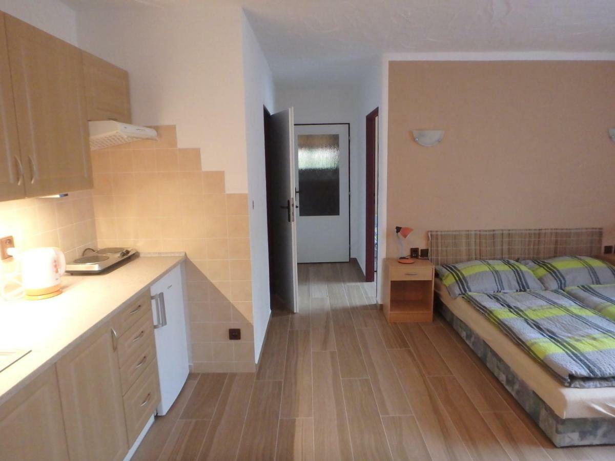 Apartments Vecernik Rokytnice Рокитніце-над-Їзероу Екстер'єр фото